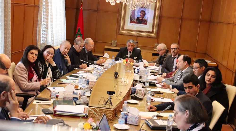 صورة التعاون مع الاتحاد الأوربي في مجال القضاء الدستوري